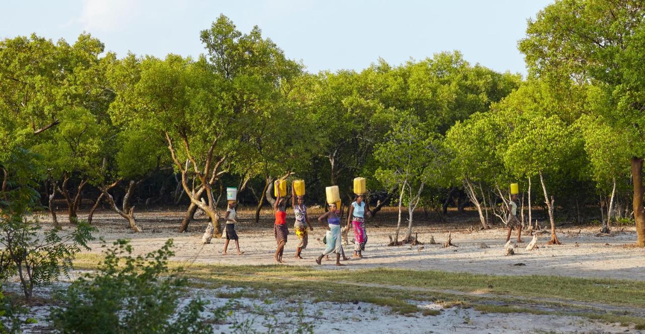 Mangrove View Bed and Breakfast Watamu Exterior foto