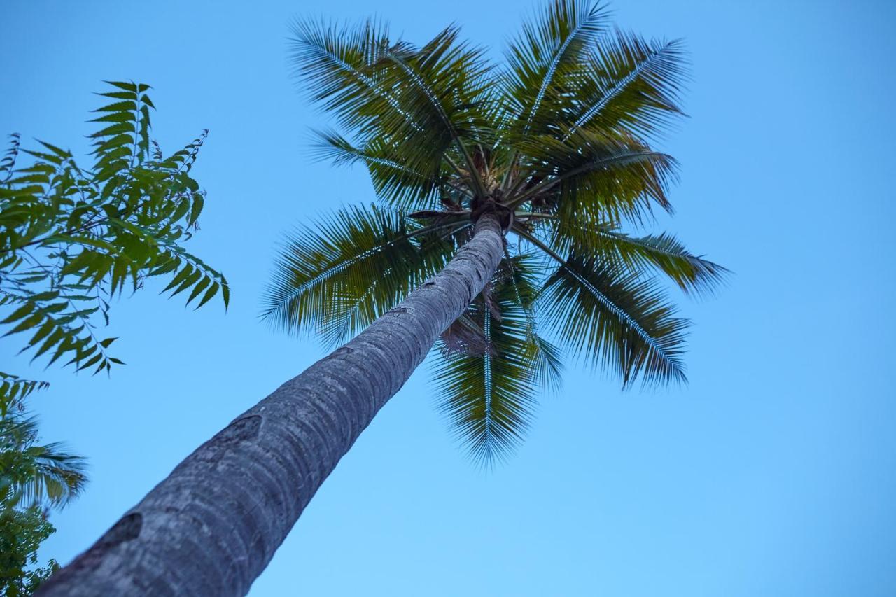 Mangrove View Bed and Breakfast Watamu Exterior foto